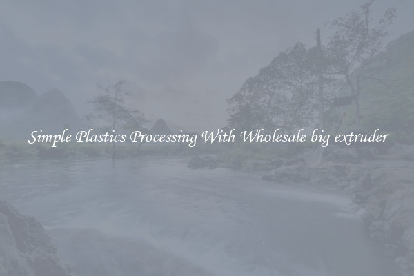 Simple Plastics Processing With Wholesale big extruder
