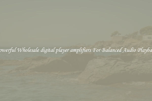 Powerful Wholesale digital player amplifiers For Balanced Audio Playback