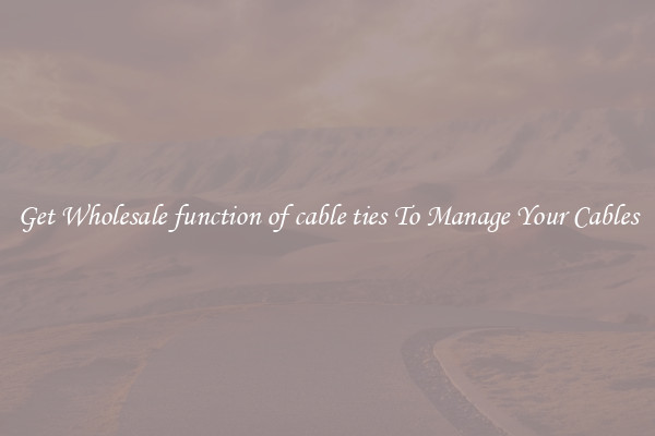 Get Wholesale function of cable ties To Manage Your Cables