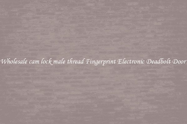 Wholesale cam lock male thread Fingerprint Electronic Deadbolt Door 