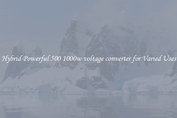 Hybrid Powerful 500 1000w voltage converter for Varied Uses