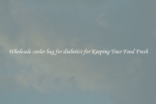 Wholesale cooler bag for diabetics for Keeping Your Food Fresh