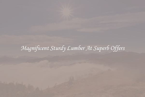 Magnificent Sturdy Lumber At Superb Offers