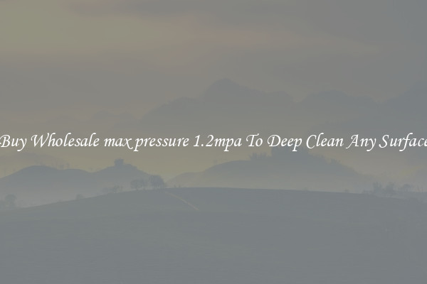 Buy Wholesale max pressure 1.2mpa To Deep Clean Any Surface