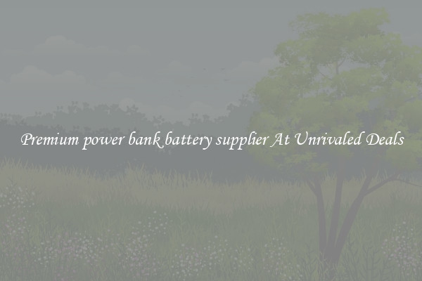 Premium power bank battery supplier At Unrivaled Deals