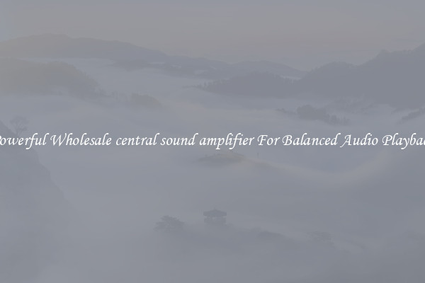 Powerful Wholesale central sound amplifier For Balanced Audio Playback