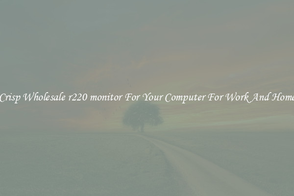 Crisp Wholesale r220 monitor For Your Computer For Work And Home