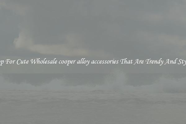 Shop For Cute Wholesale cooper alloy accessories That Are Trendy And Stylish