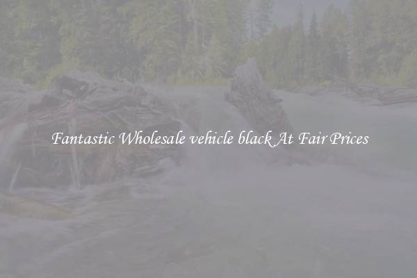 Fantastic Wholesale vehicle black At Fair Prices